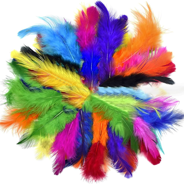 Coloured Feathers | Sensational Kids